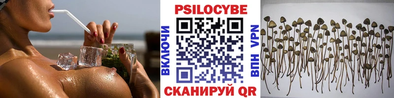 Галлюциногенные грибы Magic Shrooms Краснокаменск